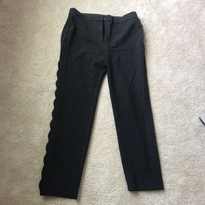 Ann Taylor Professional Pants